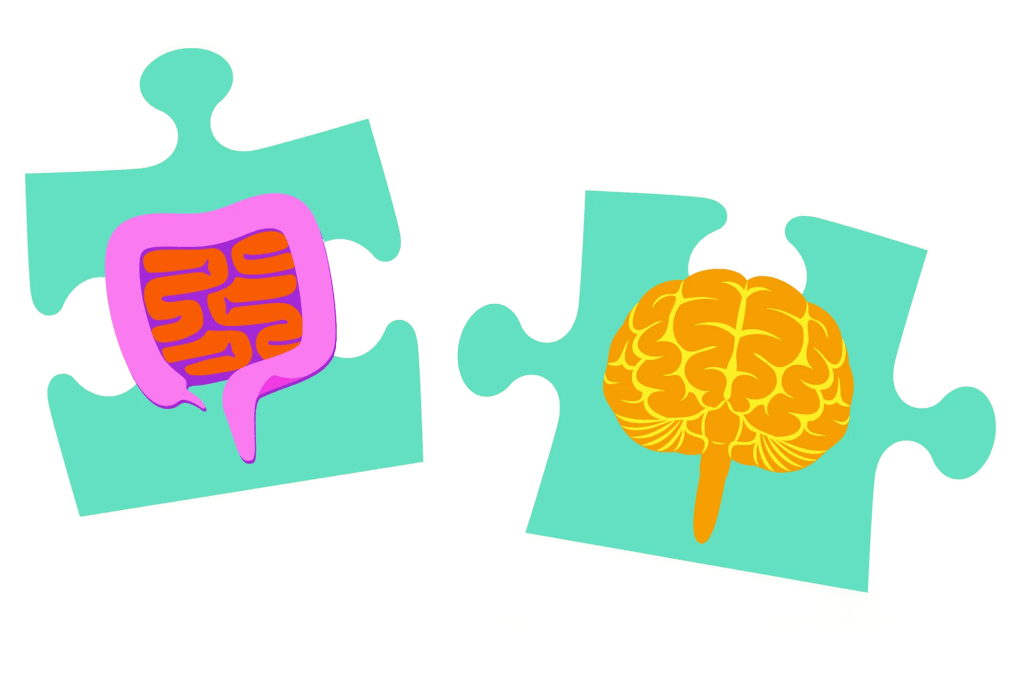 Illustration of gut and brain as puzzle pieces.